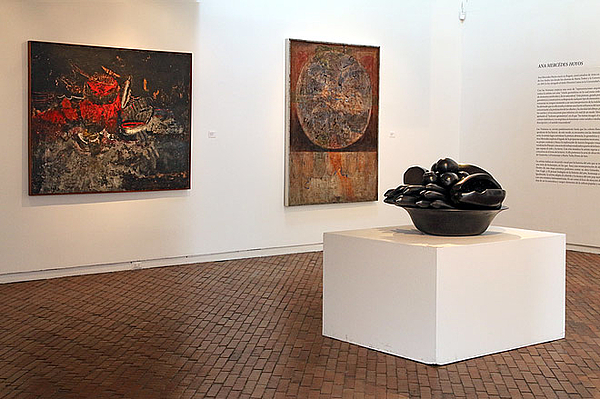 Ana Mercedes Hoyos Exhibitions
