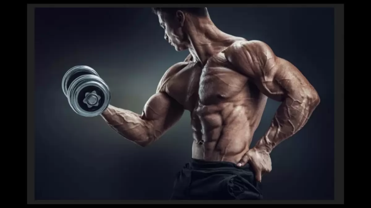 The Safe Way to Buy Real Steroids Online